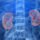 Illustration for article titled One Kidney Has Been Inside Three People In Just Two Weeks